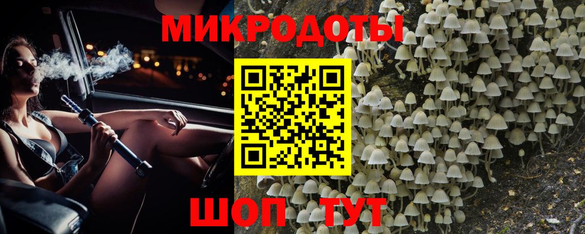 Тимашёвск  Псилоцибиновые грибы Psilocybe  Вход с VPN 