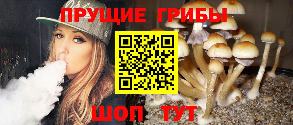 Галлюциногенные грибы ЛСД Тимашёвск